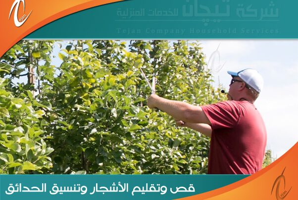 عامل قص الاشجار بالرياض يسهل عليكم تجميل وتقليم الاشجار بالرياض بخبرة ومهارة واقل سعر