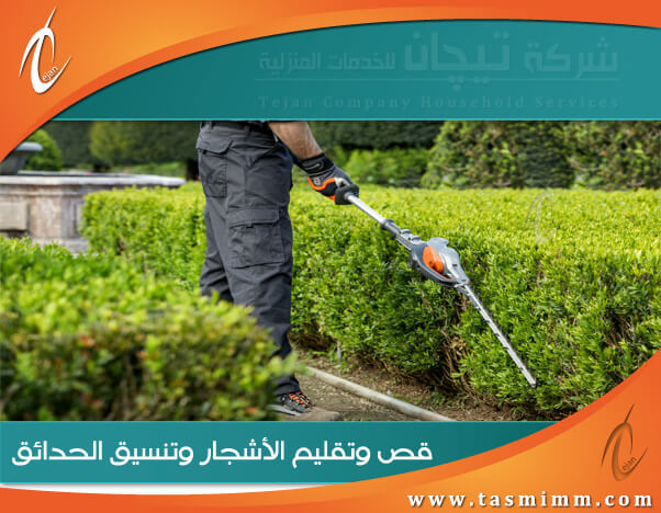 عامل قص الاشجار بالرياض يسهل عليكم تجميل وتقليم الاشجار بالرياض بخبرة ومهارة واقل سعر
